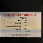 Capybara ホームステイ *