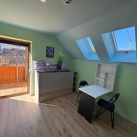 Capybara Шпитталь-ан-дер-Драу