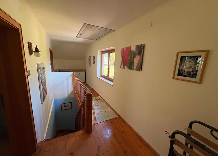 Проживание в семье Capybara *