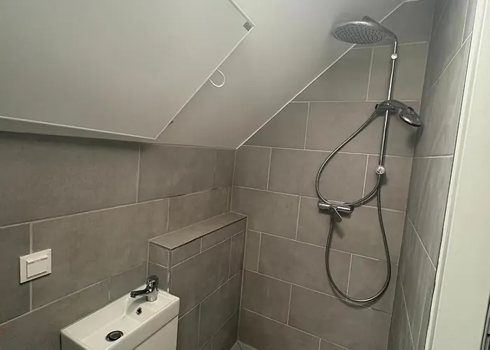 Capybara Проживание в семье