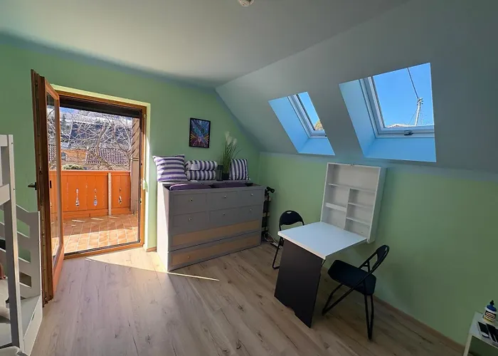 Capybara Spittal an der Drau